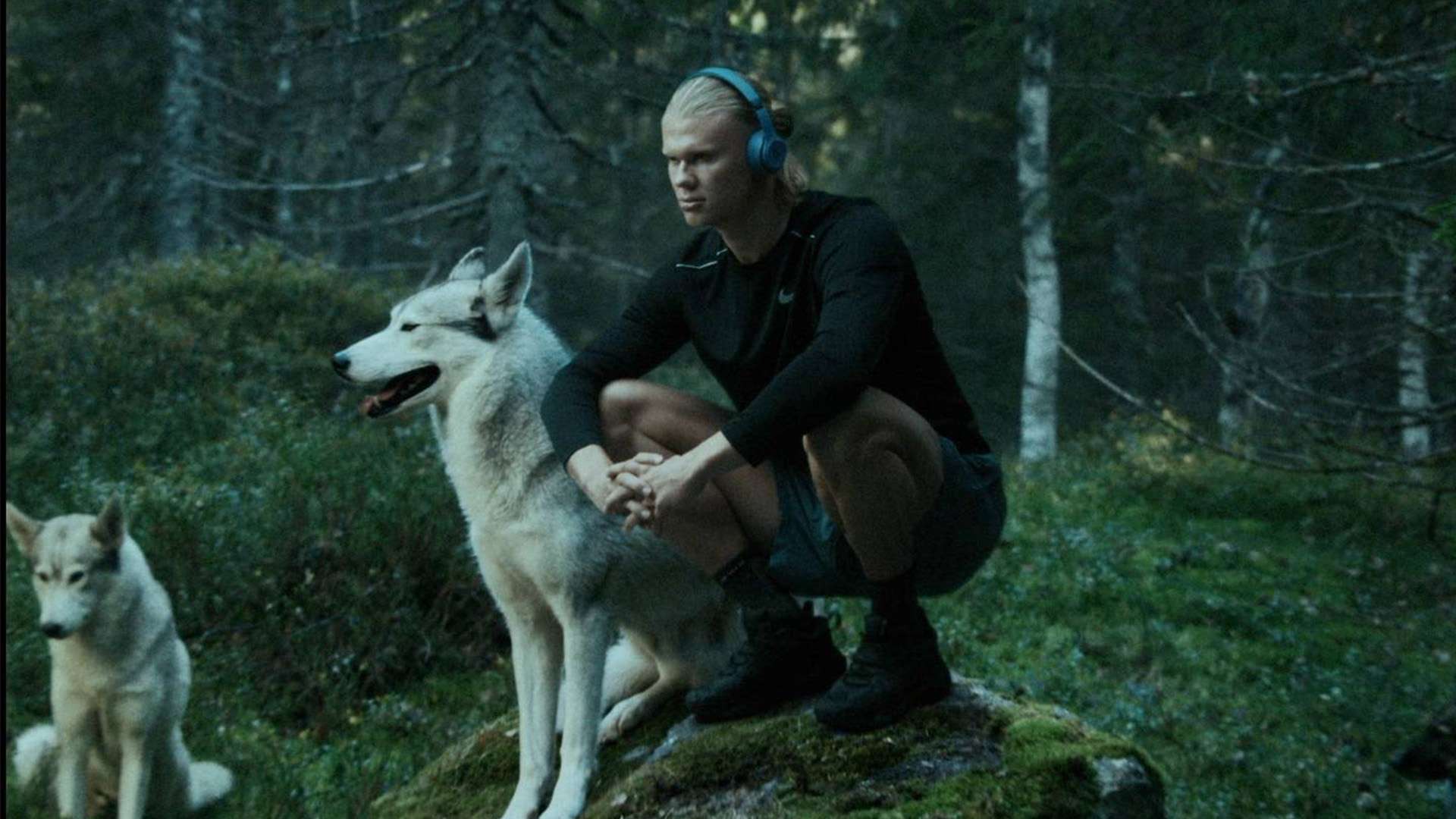 重回巅峰打 重回巅峰打